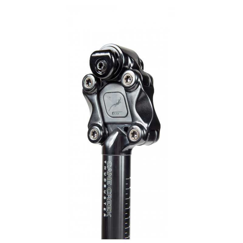 Cane Creek Thudbuster ST G4 Seatpost-3