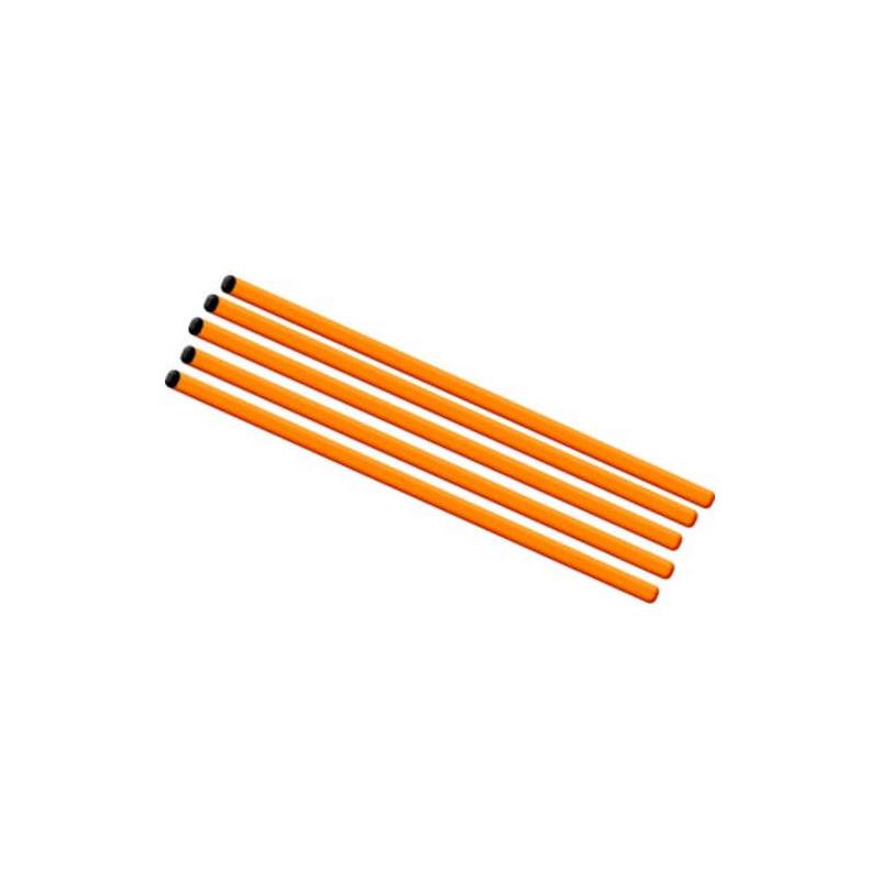 Carta Sport Spare 30" Training Poles (Each)-1