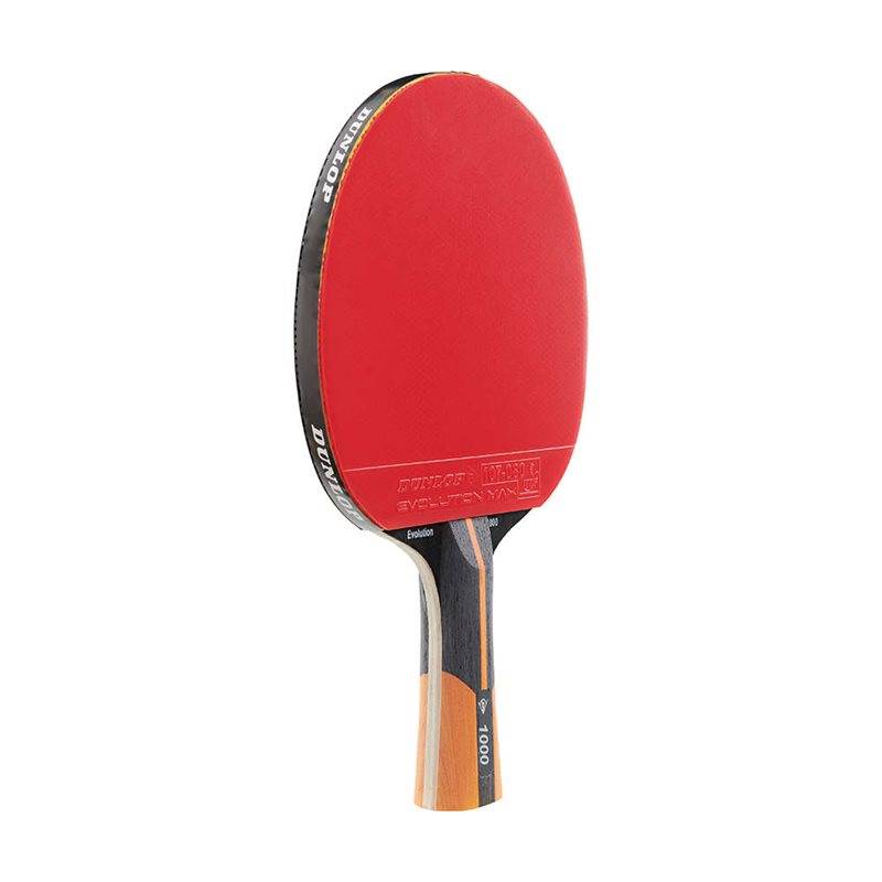 Dunlop Evolution 1000 TT Bat-1