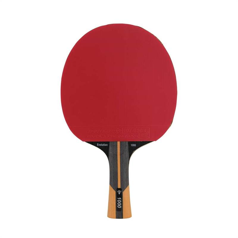 Dunlop Evolution 1000 TT Bat-2
