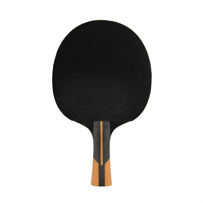 Dunlop Evolution 1000 TT Bat-3