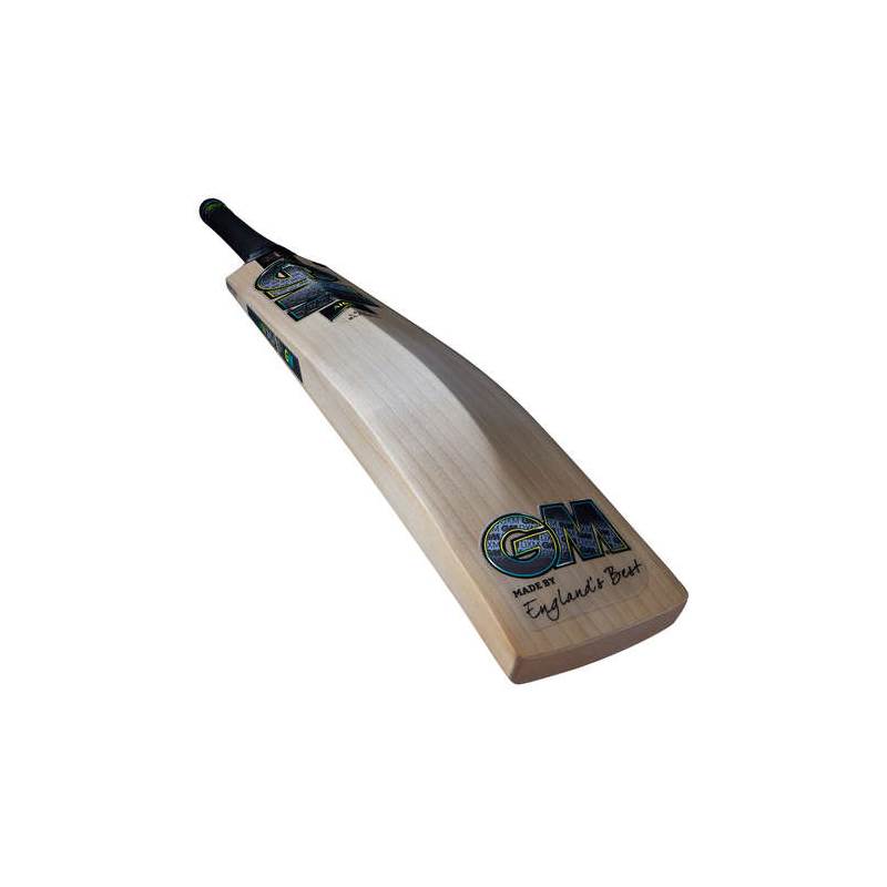 GM Aion 606 English Willow Cricket Bat-5