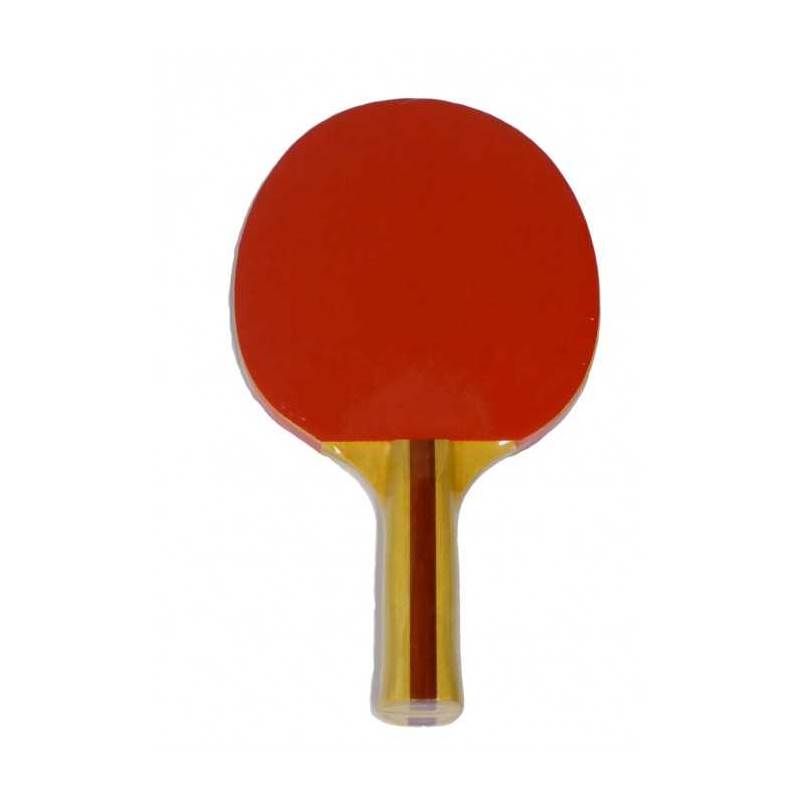 Lion Tt Bat 120 Reverse-1