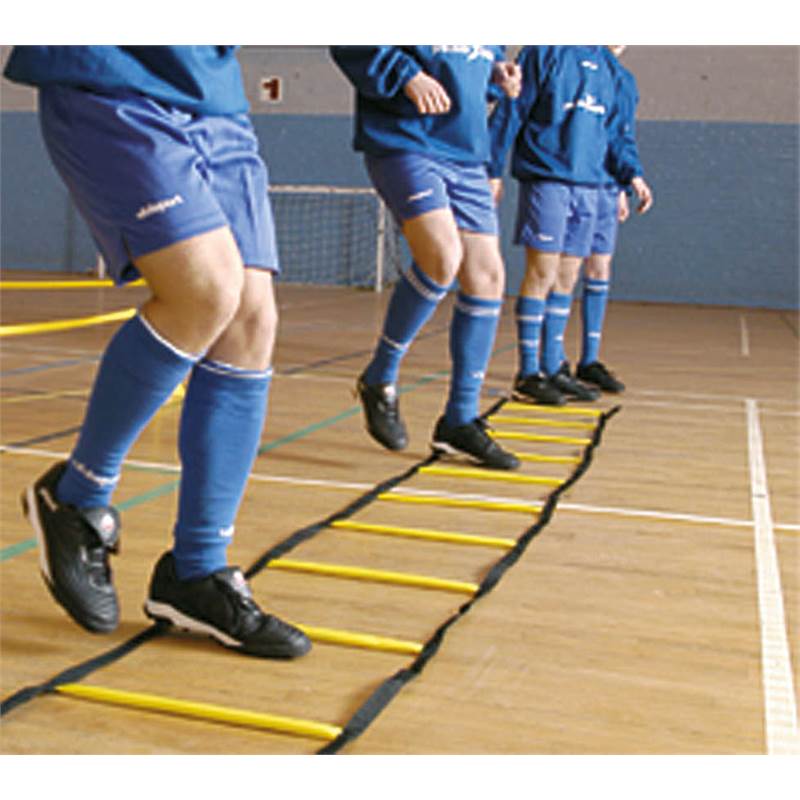 Precision 4metre Indoor (Weighted) Ladder-1