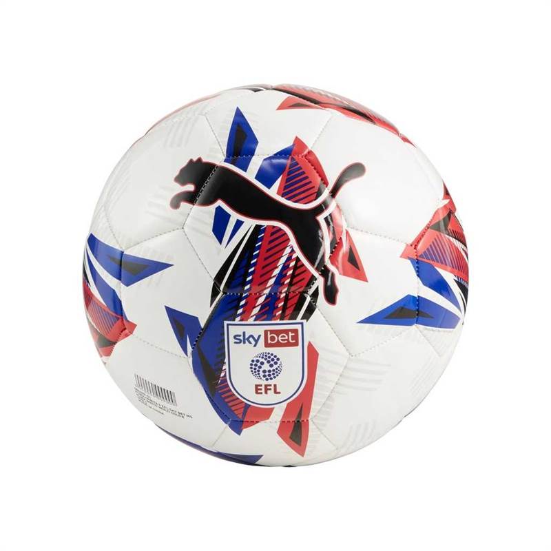 Puma Orbita 6 EFL Sky Bet Training Football 24/25-1