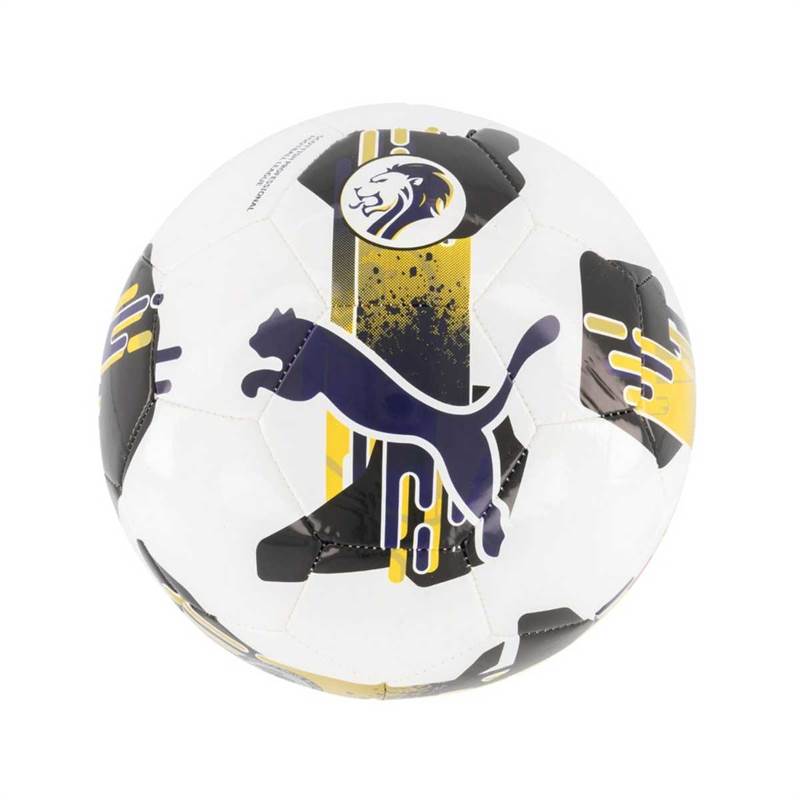 Puma Orbita 6 SPFL Football-1