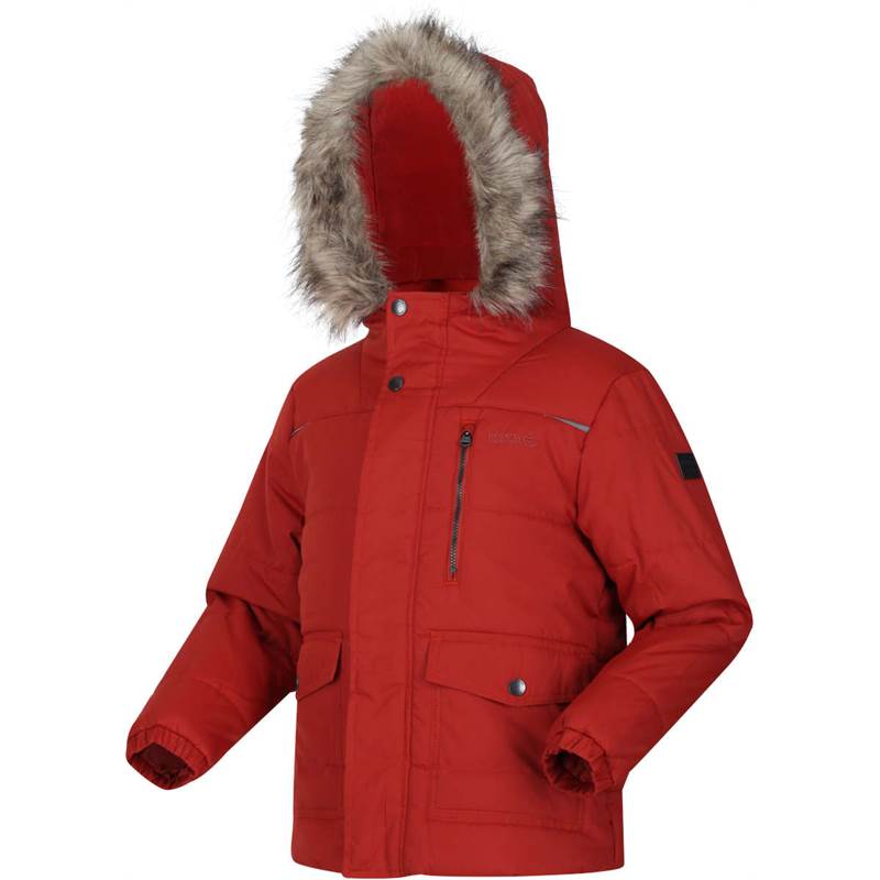 Regatta Kids Parvaiz Hooded Insulated Jacket-2
