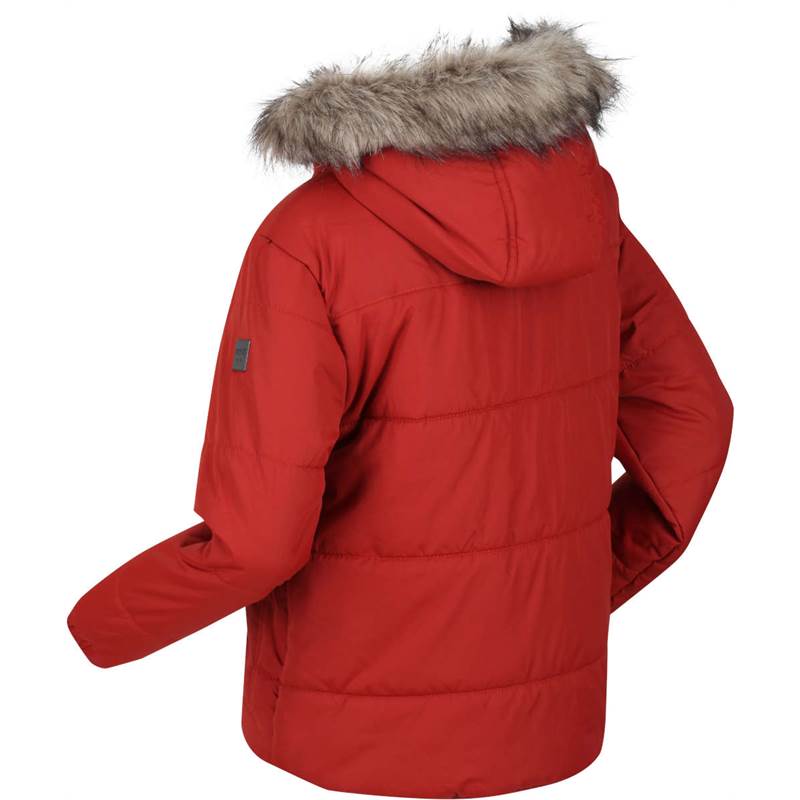 Regatta Kids Parvaiz Hooded Insulated Jacket-4