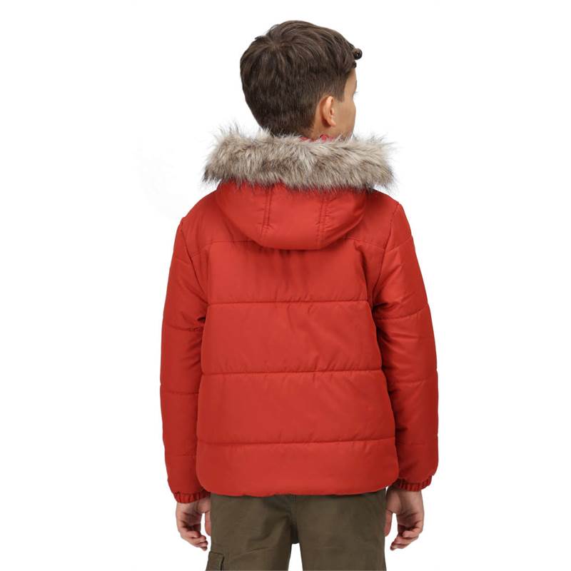 Regatta Kids Parvaiz Hooded Insulated Jacket-5