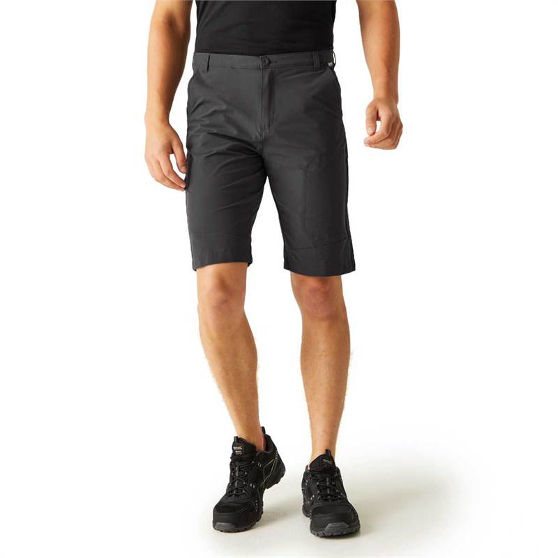 Regatta Mens Highton Long Shorts-4
