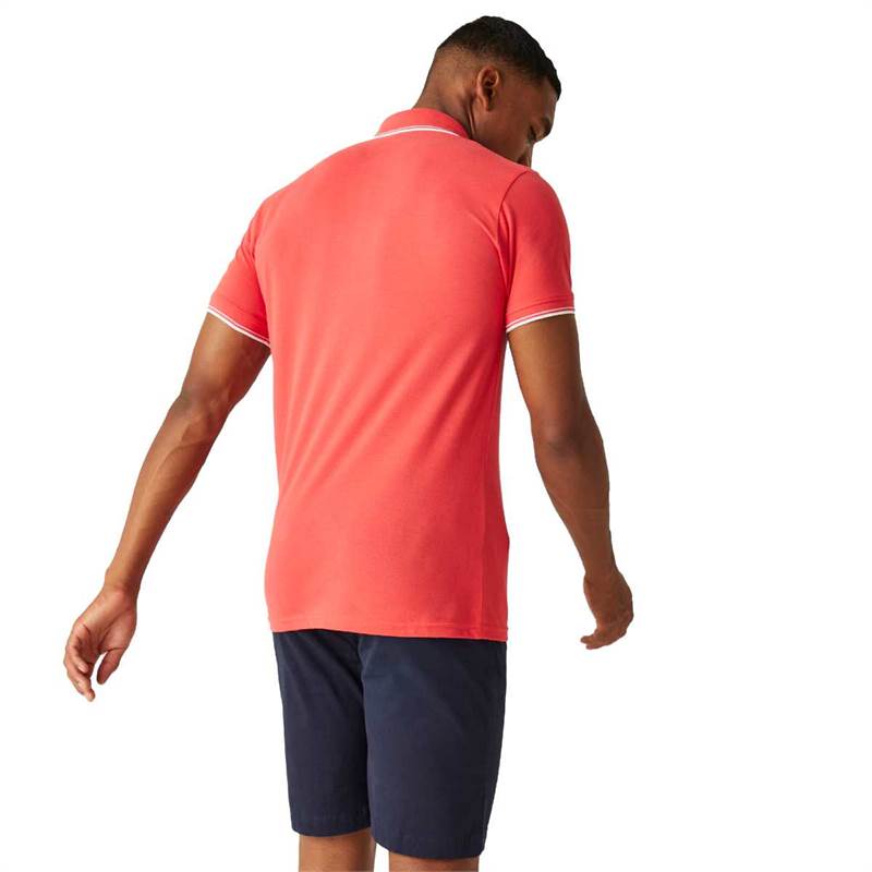 Regatta Mens Tadeo Polo Shirt-5
