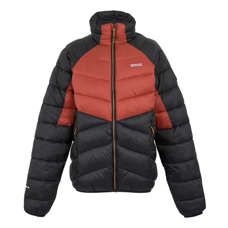 Regatta Mens Dalent Padded Jacket-1