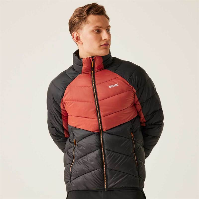 Regatta Mens Dalent Padded Jacket-4