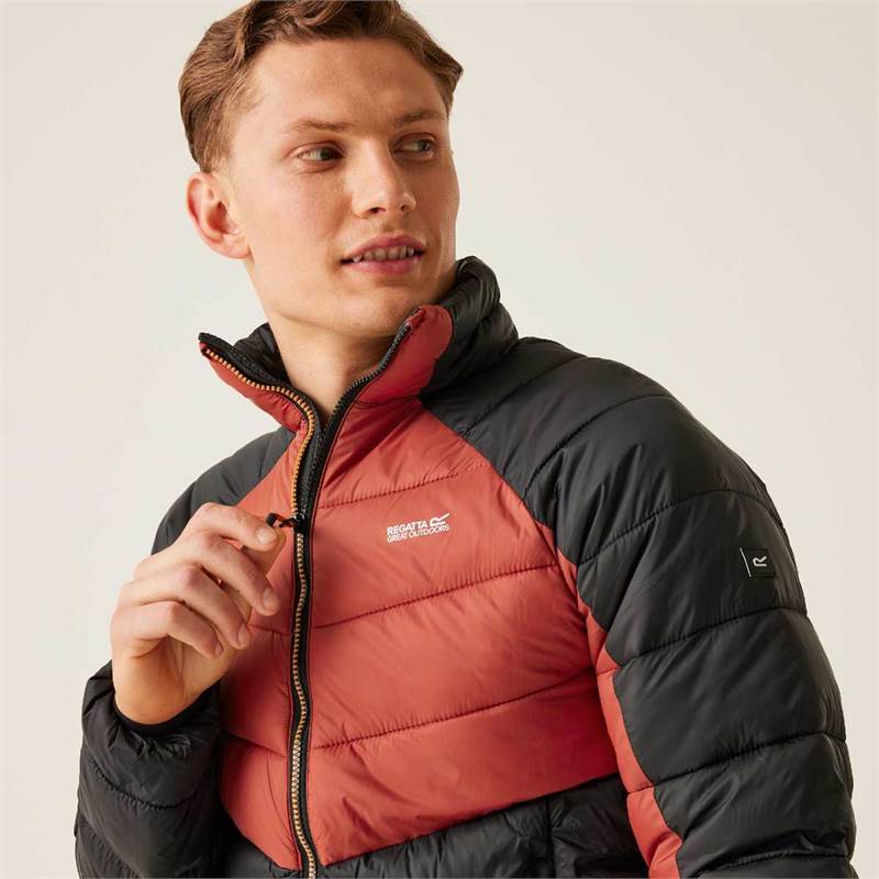 Regatta Mens Dalent Padded Jacket-5