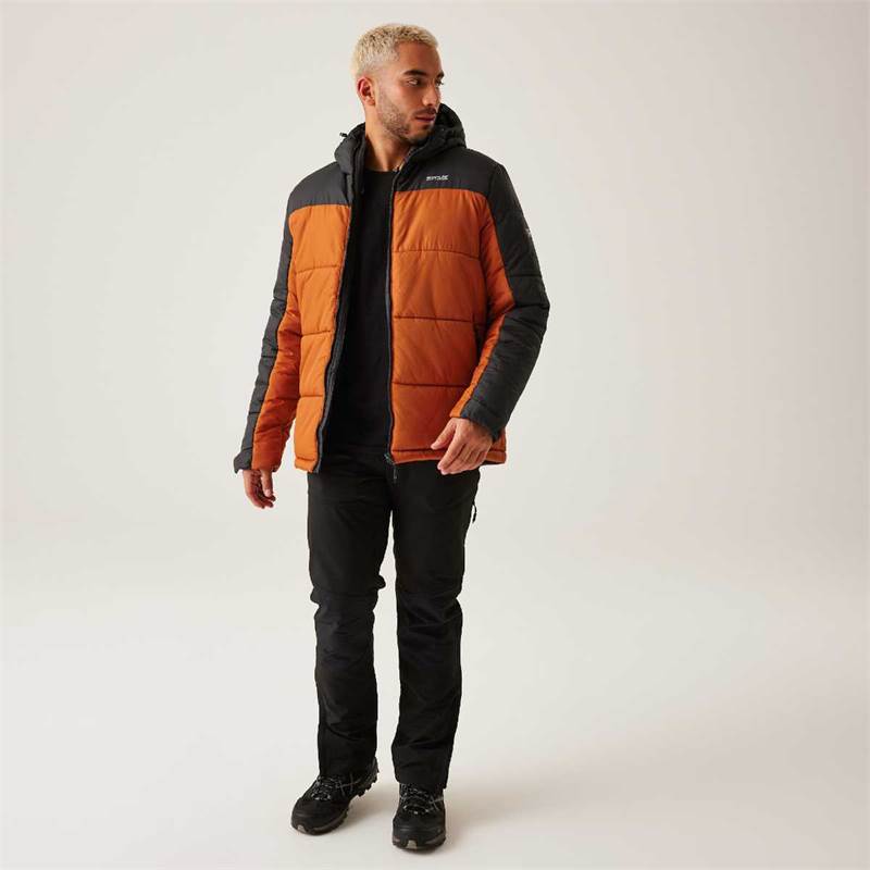 Regatta Mens Nevado VII Insulated Padded Jacket-4