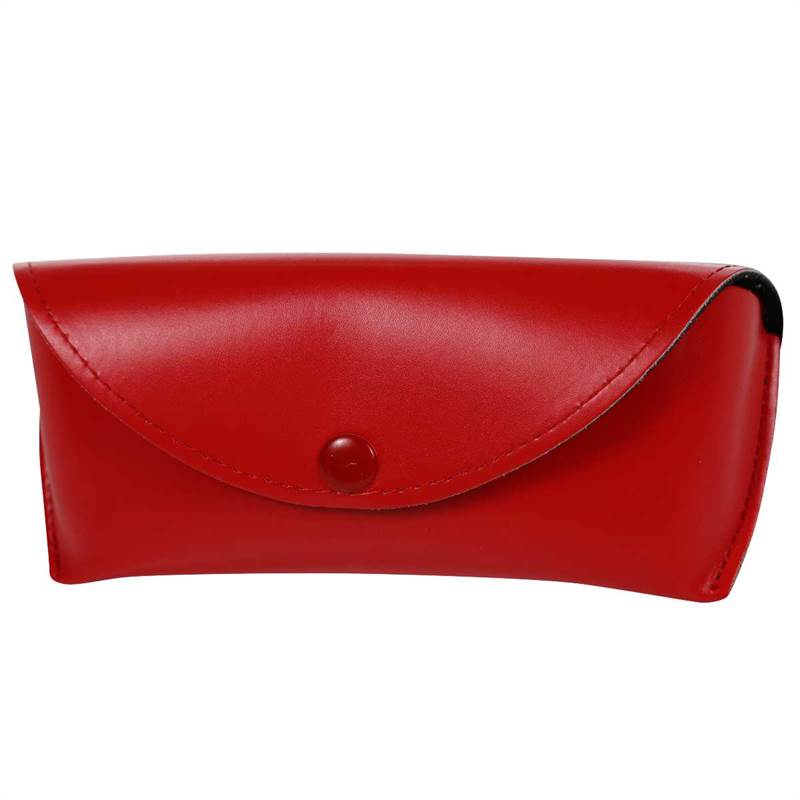 Regatta Sunglasses Case-2