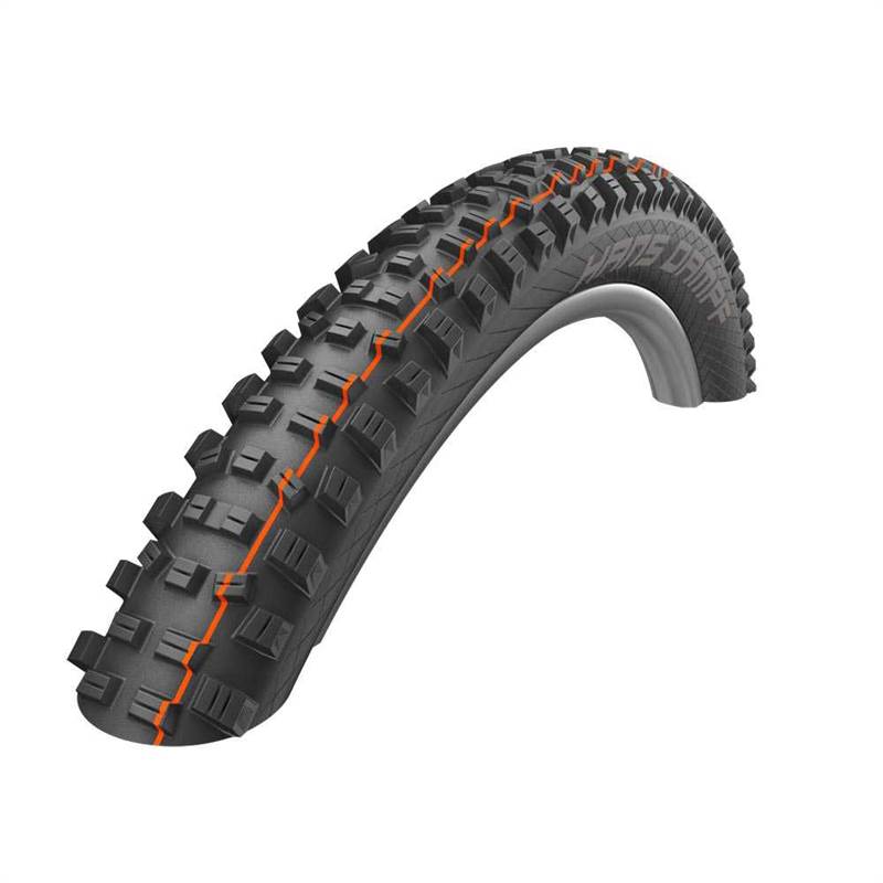 Schwalbe Hans Dampf Evolution Super Gravity ADDIX Soft TLE E-25 MTB Tyre-1