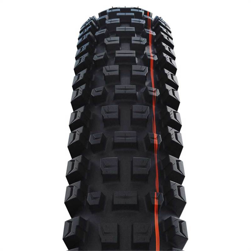 Schwalbe Albert Radial Ultra-Soft Soft Gravity Pro Evo TLR MTB Tyre-2