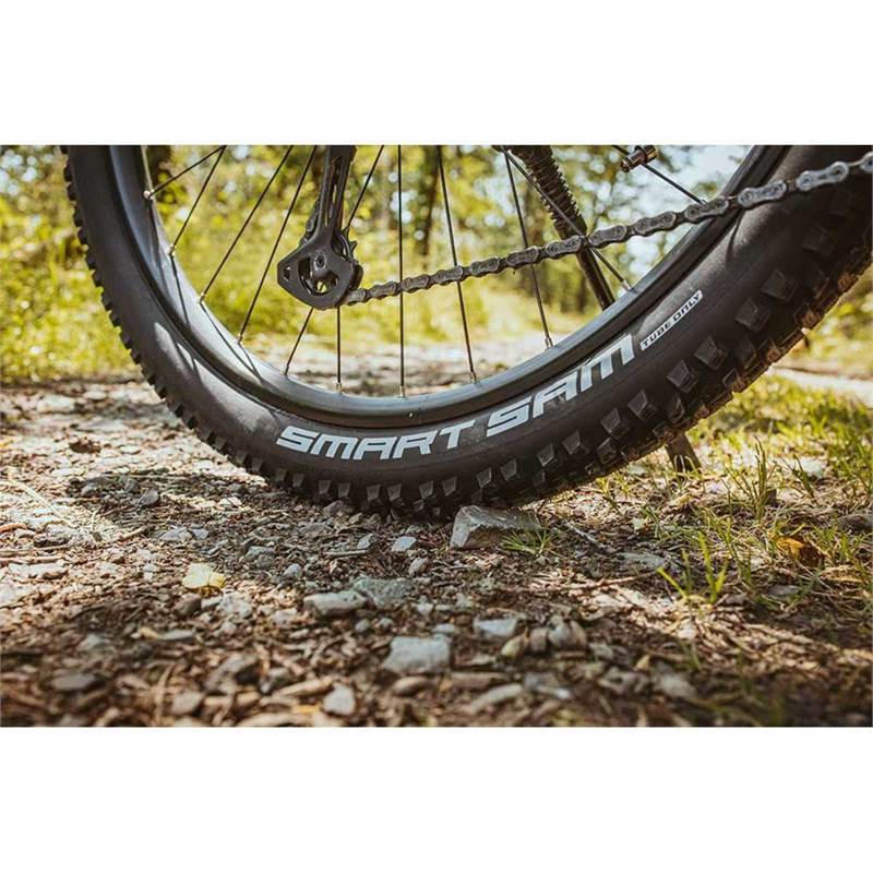 Schwalbe Smart Sam Performance DD RaceGuard MTB Tyre-4