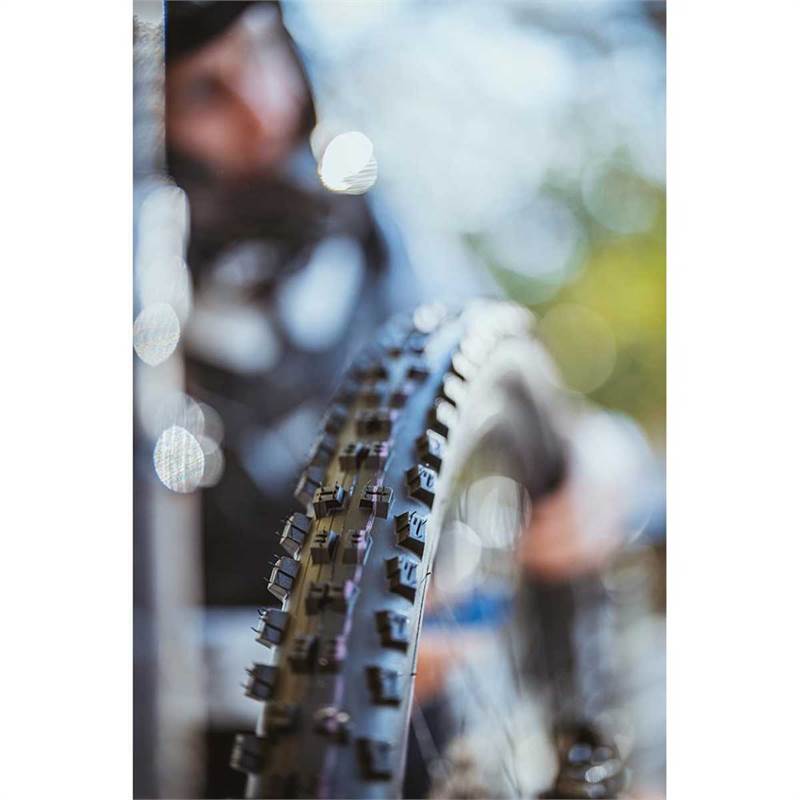 Schwalbe Tacky Chan Evo Super Trail Ultra Soft Folding TLE MTB Tyre-5