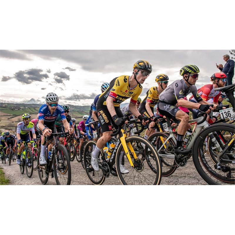 Vittoria Corsa Pro Control 700 TLR Road Race Tyre-4