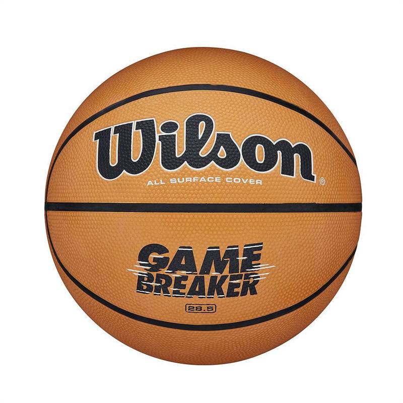 Wilson Gamebreaker Basketball-1