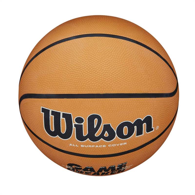 Wilson Gamebreaker Basketball-2