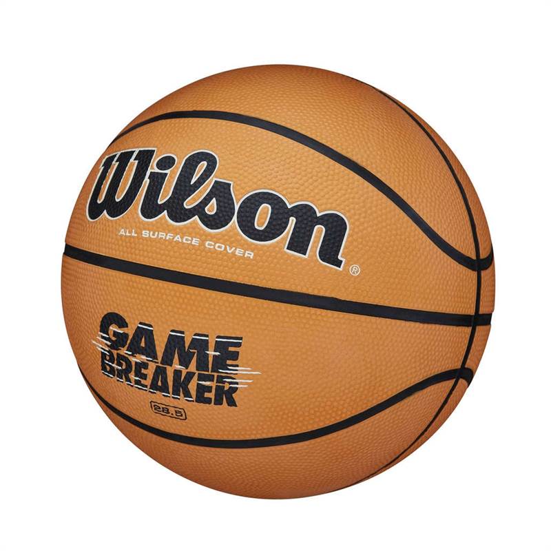 Wilson Gamebreaker Basketball-3