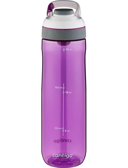 Contigo Autoseal Cortland Water Bottle