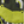 Colour : Dino Green