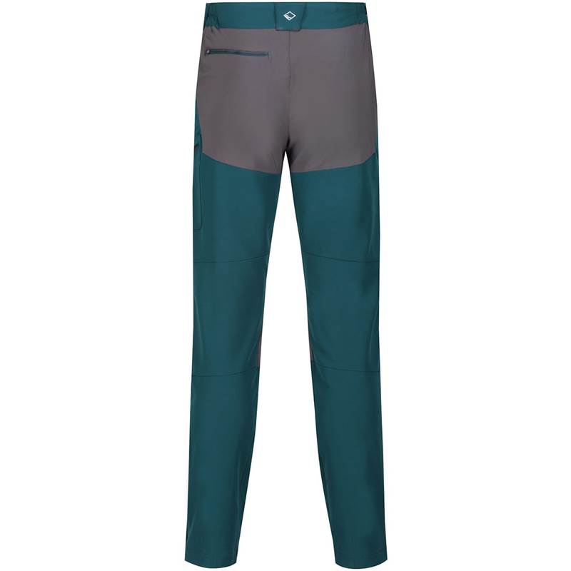Regatta Mens Questra II Softshell Stretch Trousers - Regular-5