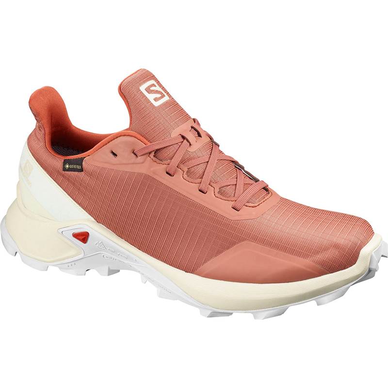 Salomon Alphacross GTX Mens Running Shoes-2