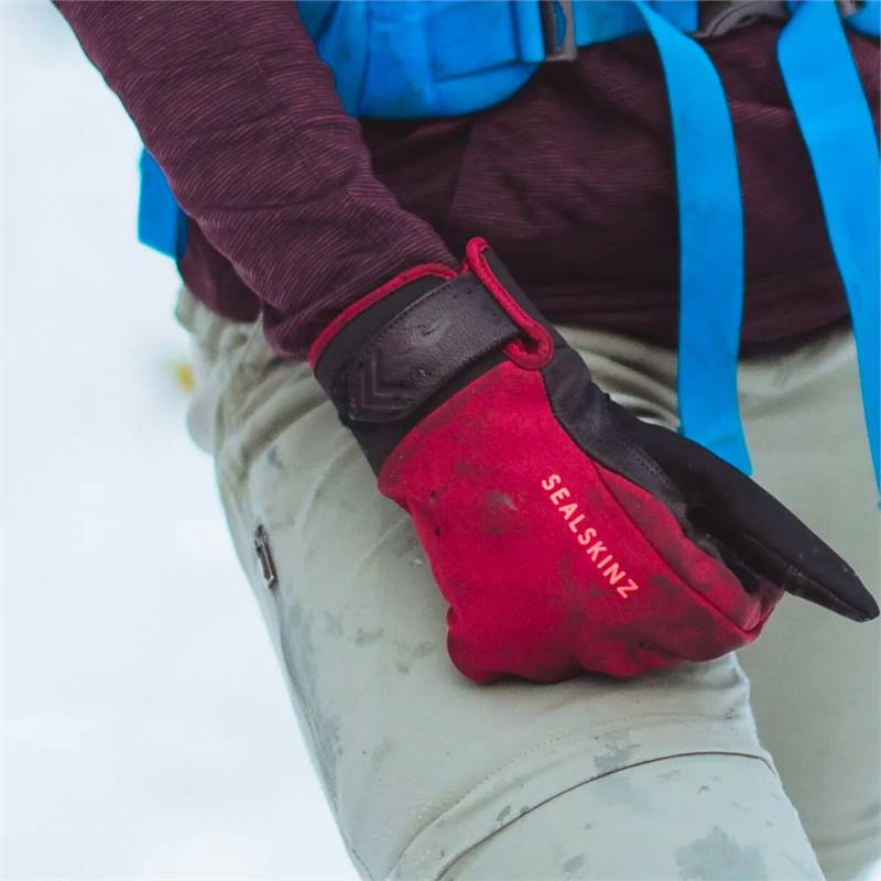 Sealskinz Womens Waterproof All Weather Insulated Gloves-5
